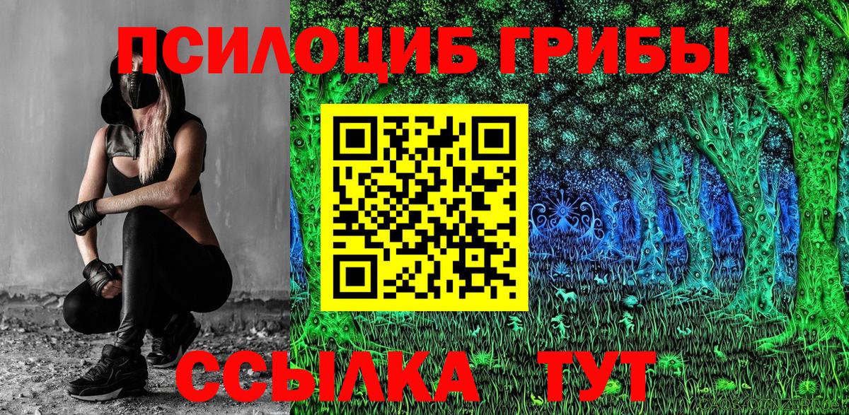 Псилоцибиновые грибы Psilocybe Лабинск